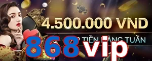 868vip